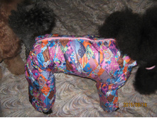 ������ 001.jpg