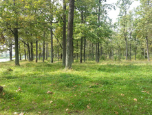 20150906 124252.jpg