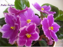 �� ���� �����