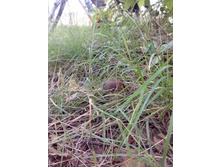 IMG 20150902 132916.jpg