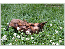 2 ������