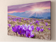 ������� �����.jpg