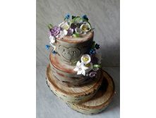 ��������� ����.jpg