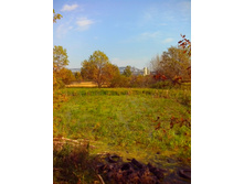 IMG 20150923 125350.jpg