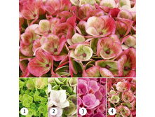 ��������� �������� �������� ���� 467�