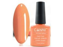 Gellak Shellac CANNI 61 min.jpg