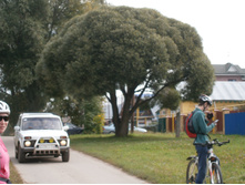 ������, ��� �����.