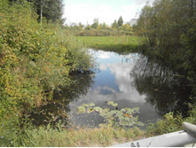 ����� ������ ��� ������.