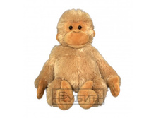 167 ���� ��� 900�� ���� 945 ���.jpg