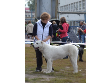 ���� �������