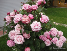 Dieter Muller-9,26.jpg