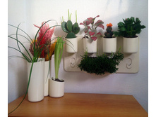 �������� ���������� � �������������2.jpg