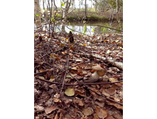 IMG 20150902 130128.jpg