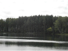 ��� �� ������