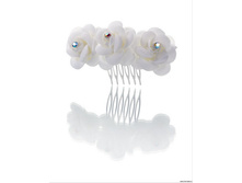 ������� PACP041440.jpg