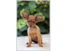 3 ������