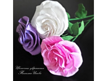 ���� � ���� �� ���������