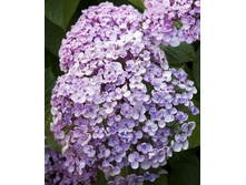 ��������� ����-141,00