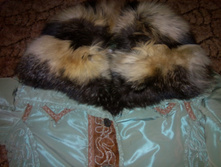 IMG 20150910 155517.jpg
