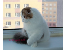 2015-08-16 17-10-49 — ����� (2).JPG