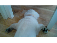 IMG 20150928 080643.jpg