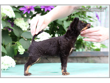 2 ������