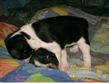 IMG 0043.JPG