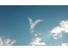 IMG 20150829 164540.jpg