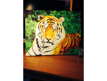 219312 600x800 image.jpg