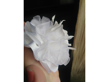 IMG 20150721 125610.jpg