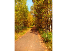 IMG 20150923 125222.jpg