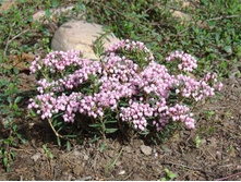 ������-167