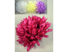 406/0351� ������ ���������� (12�� � ��-��)