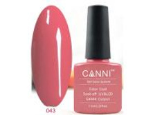 Gellak Shellac CANNI 43 min.jpg