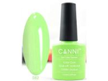 Gellak Shellac CANNI 82 min.jpg