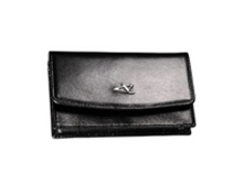 1101	���������  ����������� ���� "�������"	black