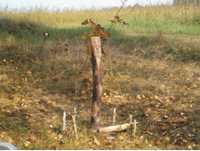 �������� �����