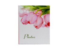 200 ���� PP-46200S ��������� ���������-1 (22224) 231 ��� ��� �� 1