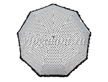 9815 Pasio zont (6).jpg