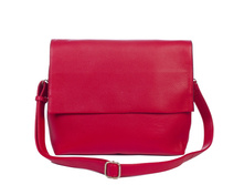 KT213/13 Typha �������-1495 ���