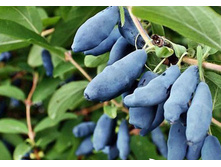 ��������� ������� �9-165�