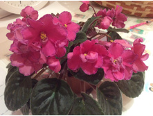 �������� � ������