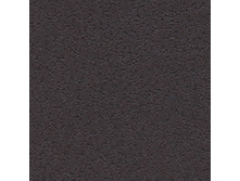 ���� �����