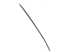 405/0050B ���� ��� ������� 405/0050B ���� ��� ������� ------  �������	*40/0050B �������,��	45 �� ����,���.  (��)	6.00