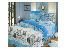 ��� ���� ������ �����.jpg