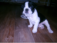 IMG 0067.JPG