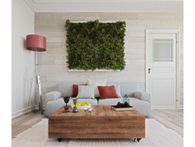 Sc living room  (3).jpg