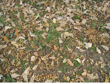 IMG 3249.JPG