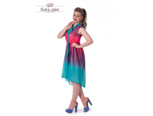 ������ ���� (������� 2009)