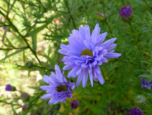 P1050178.JPG